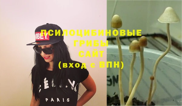 СК Краснотурьинск