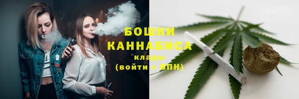 ECSTASY Костерёво