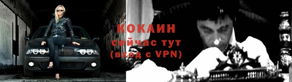 ECSTASY Костерёво