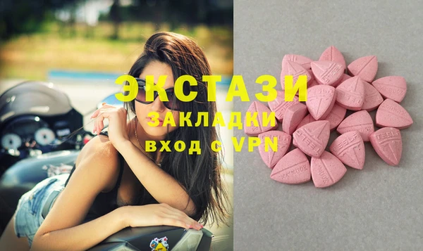 стаф Коряжма