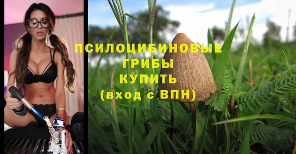 ECSTASY Костерёво