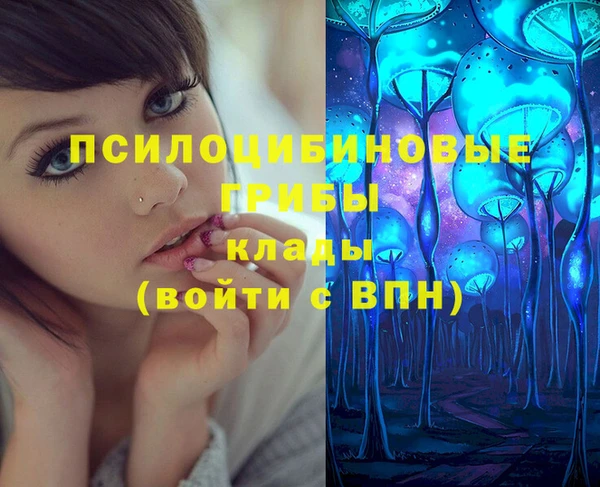стаф Коряжма