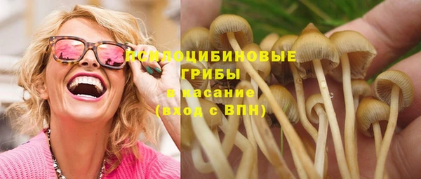стаф Коряжма